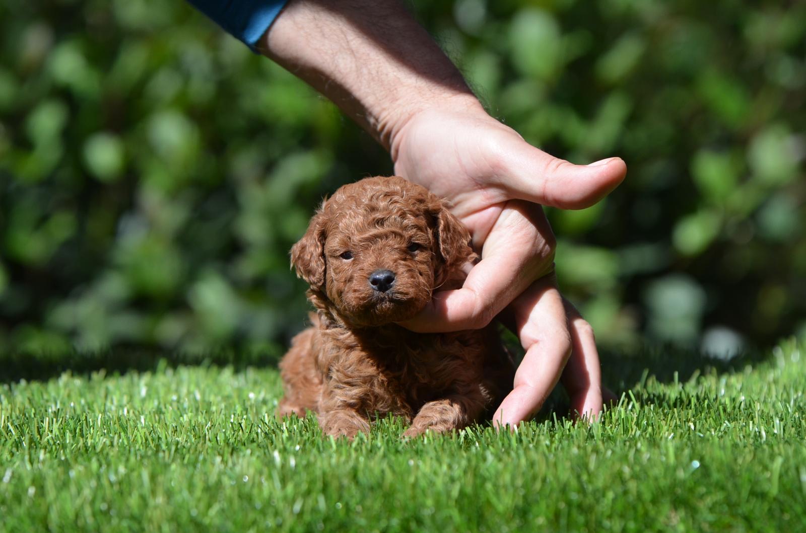 810084f315935d05d45895cb033a5633dd4923d3